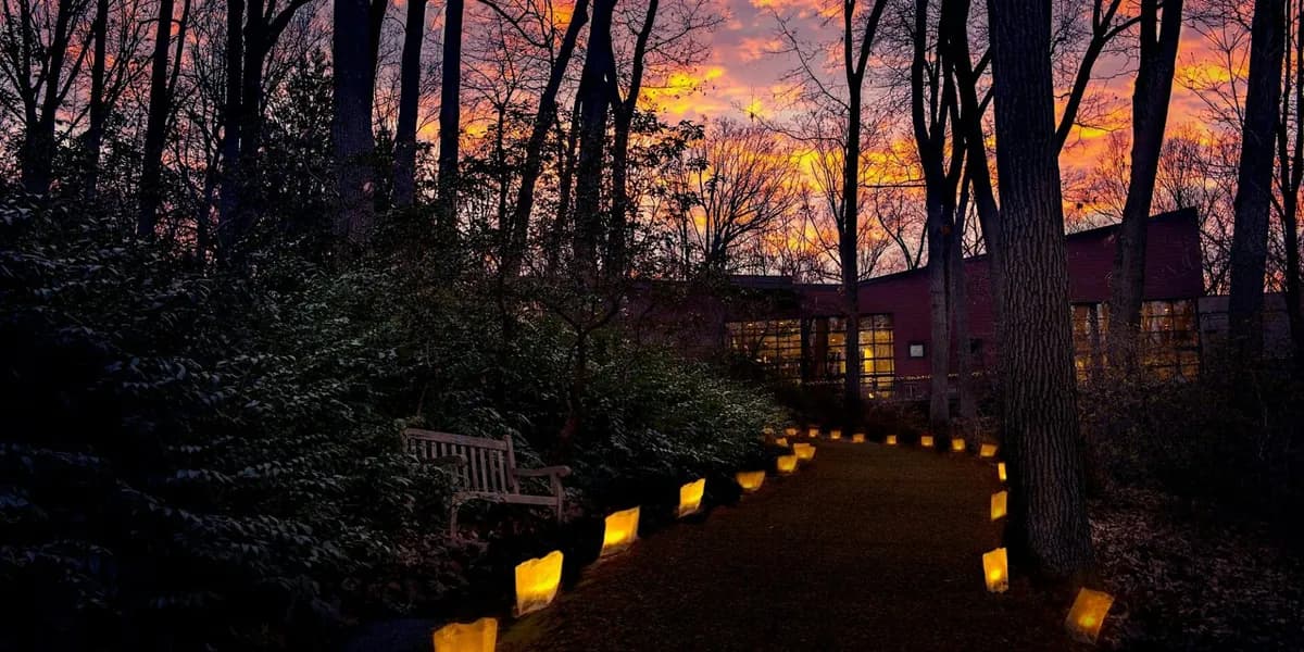 Image published for Winter Luminary Nights