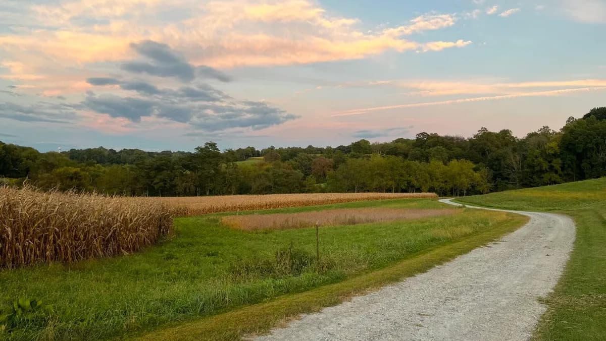 A gravel path through fields at Stroud Preserve