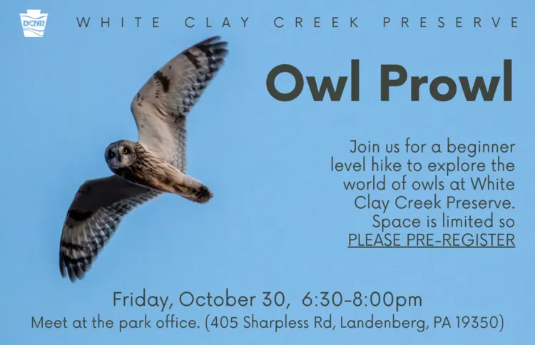Image published for Owl Prowl