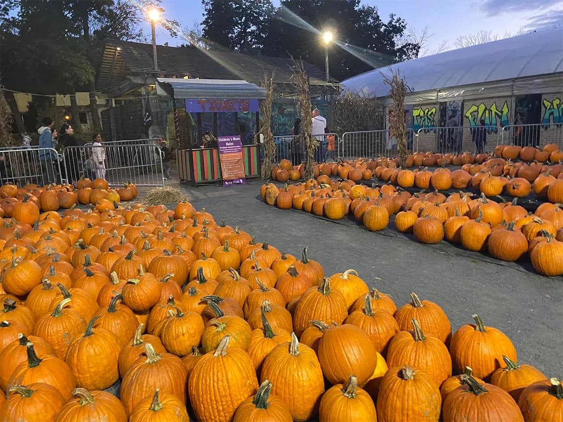 Image published for Pumpkinland, Enchanted Hayrides and Mazes
