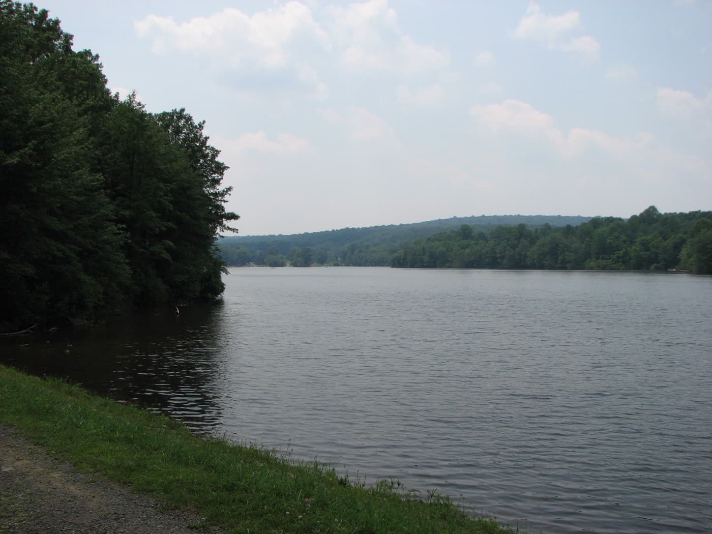 Trees along Hopewell Lake at French Creek State Park