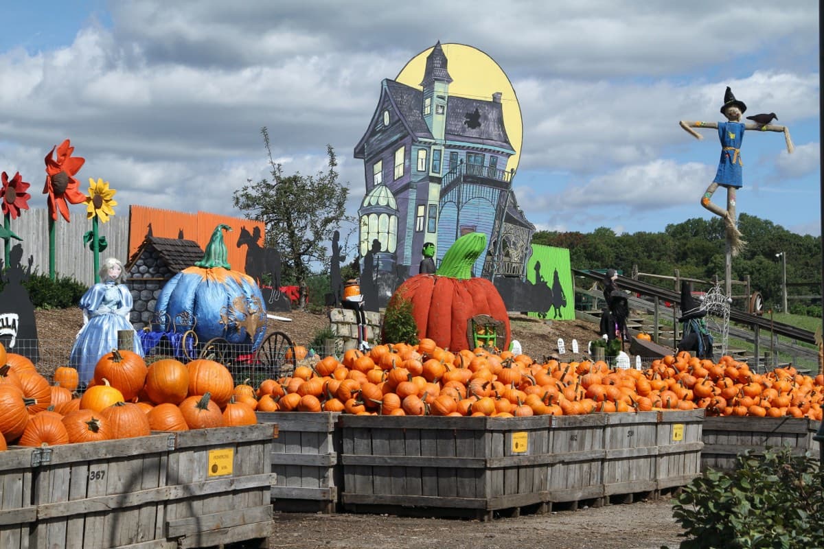 Pumpkins and fall displays at Linvilla Orchards in Media