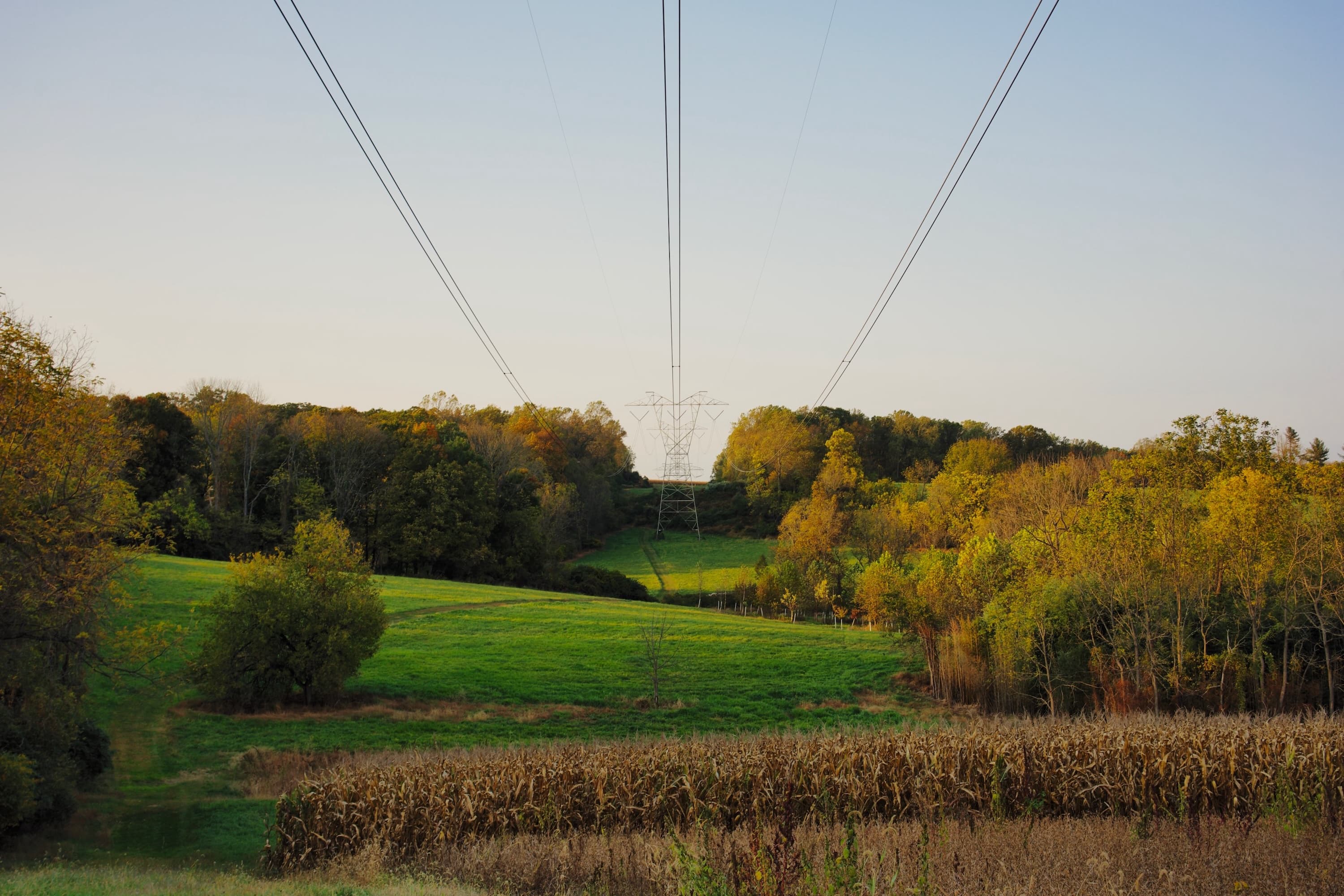 Meadow and autumn trees beneath power lines at Stroud Preserve
